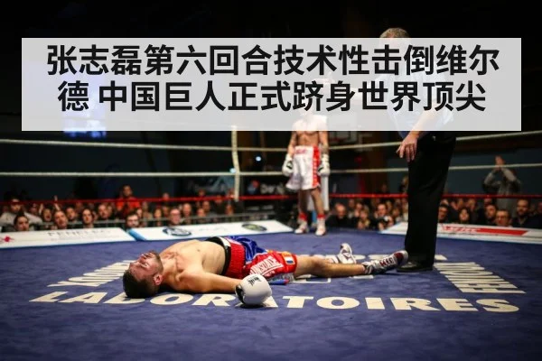 张志磊第六回合技术性击倒维尔德 中国巨人正式跻身世界顶尖