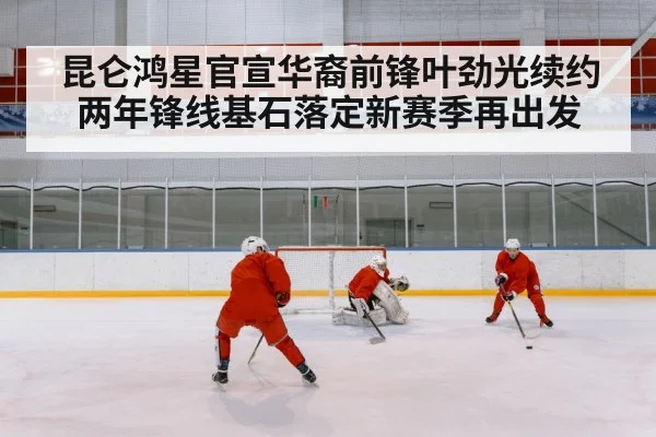 chinese ice hockey team